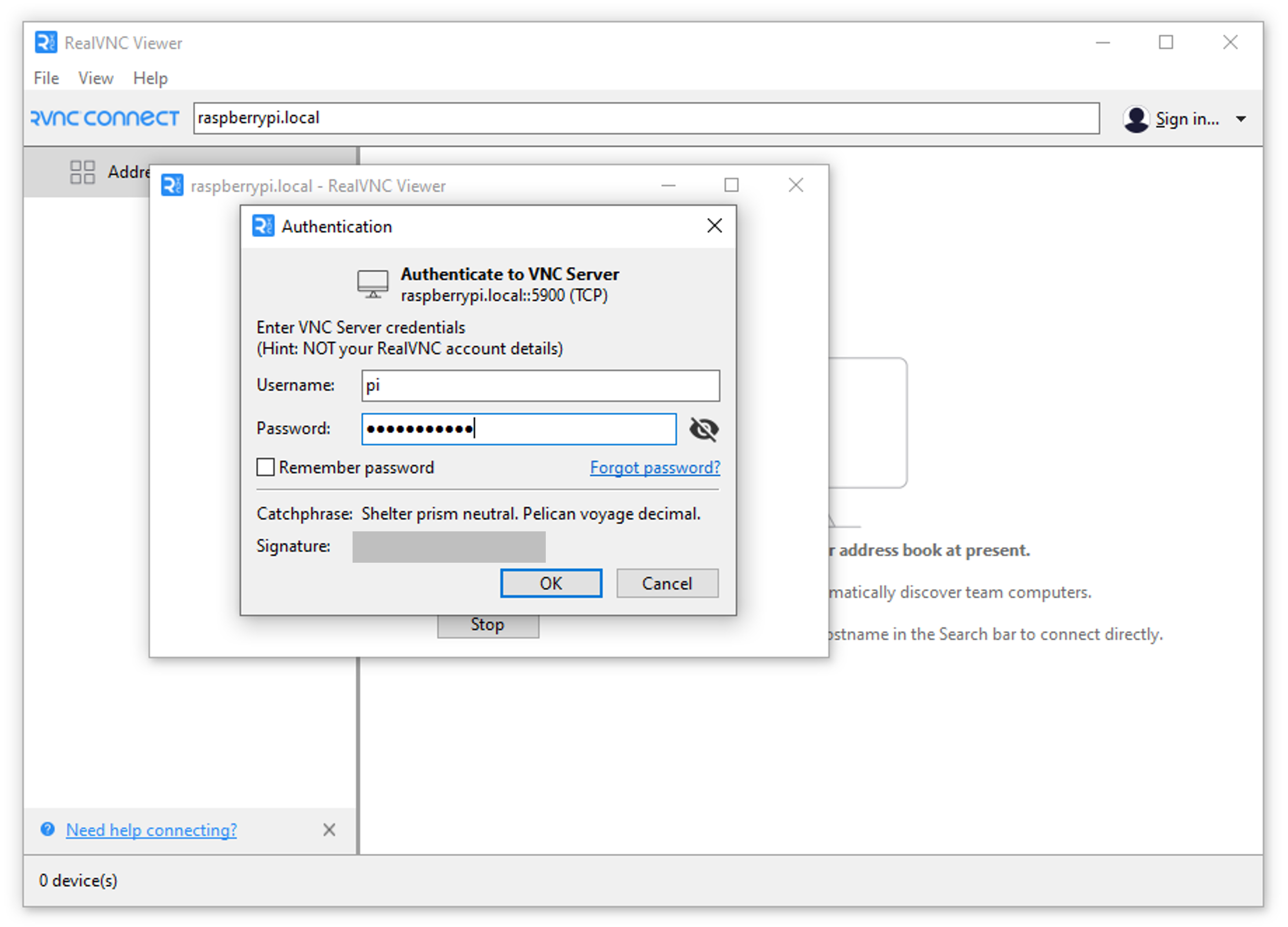 RealVNC Viewer Accessed