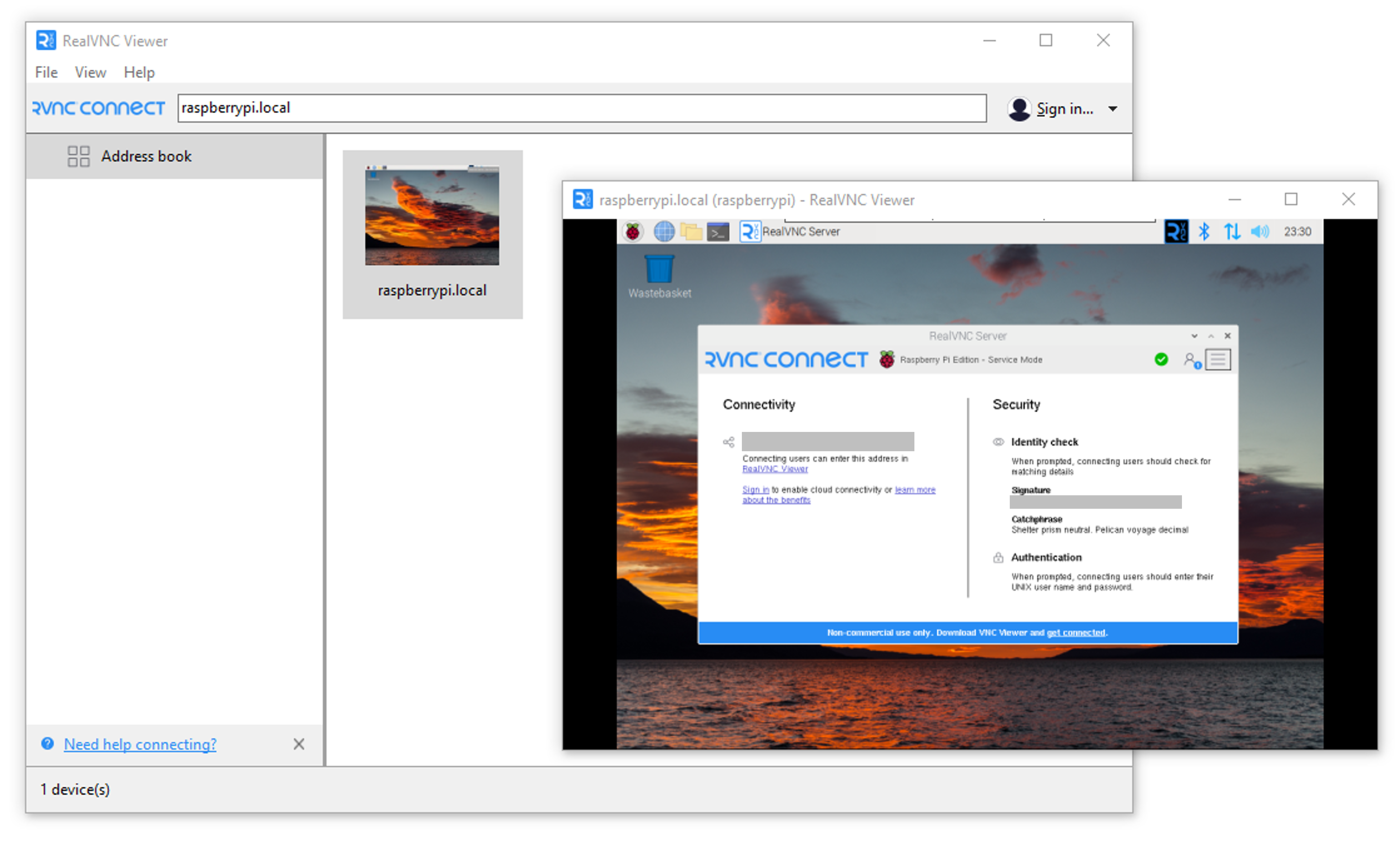 RealVNC Viewer Connected